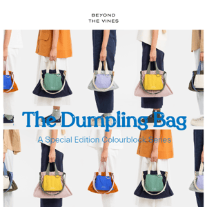 The Colourblock Dumpling Bag Series! 👏 ONE-RUN ONLY!