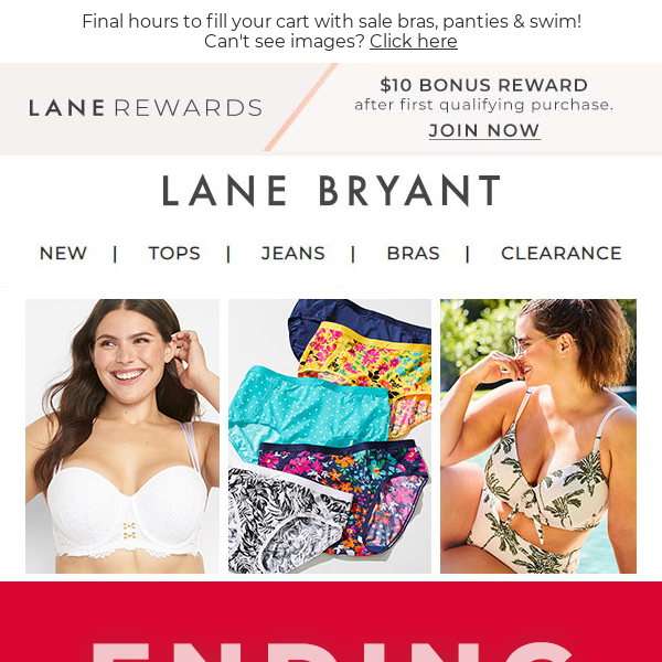 $15.99 bras ends in 3, 2, 1… - Lane Bryant