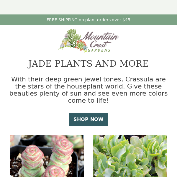 Jumping for Jade Plants! 🌵