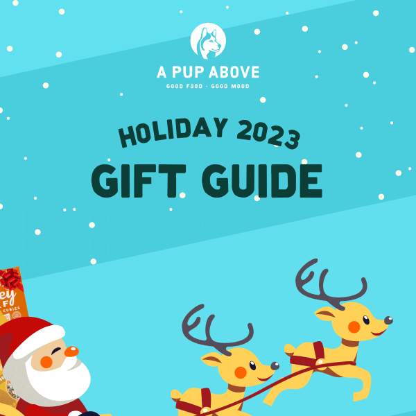 What to gift your pup? 🤔️