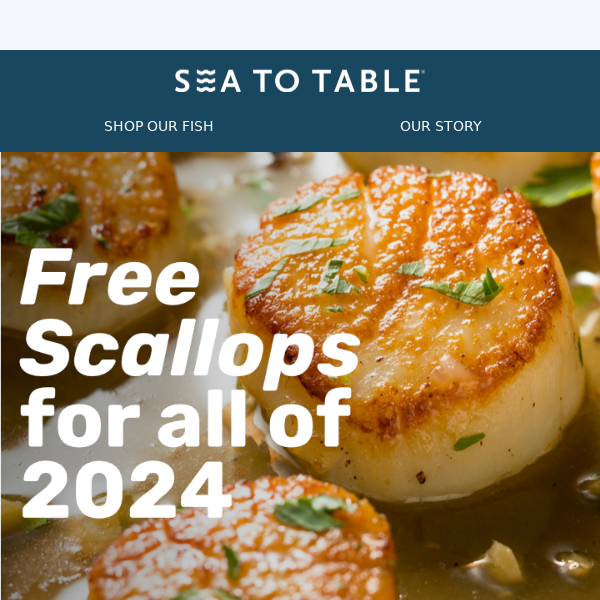 OMG! FREE WILD SCALLOPS