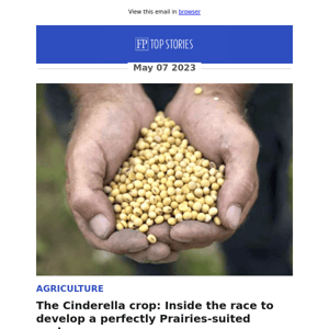 The Cinderella crop: Inside the race to develop a perfectly Prairies-suited soybean