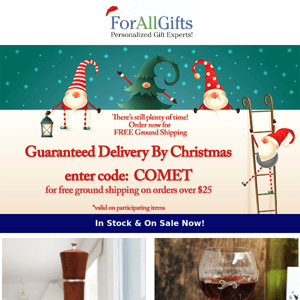 Guaranteed Christmas Delivery & Free Shipping 🎄