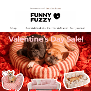 Valentine's Day Sale