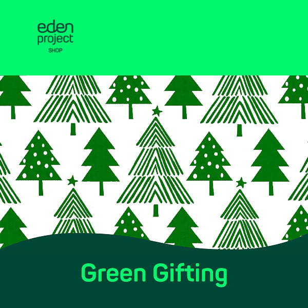 Green gifting: Discover our new Christmas Collection! 🎄