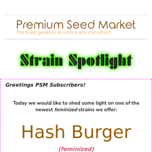 💡 Strain Spotlight: Hash Burger (feminized)🍔