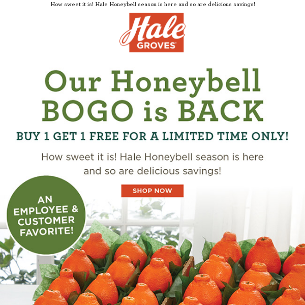 🍊 Our Honeybell BOGO is BACK - Buy 1 Get 1 Free for a Limited Time ONLY! 🍊