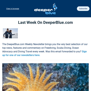 🤿 Your Exclusive Weekly Diving & Ocean News