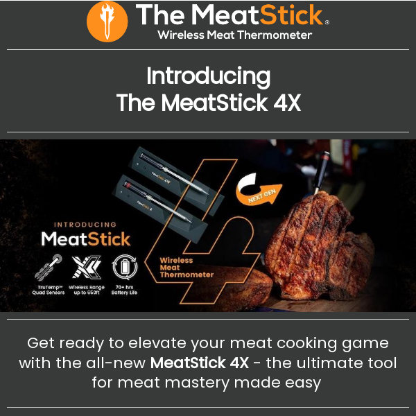 🆕 Introducing The MeatStick 4X: Meat Mastery Made Easy! 🆕