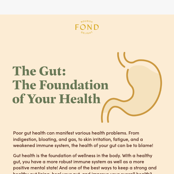 How to build a foundation of wellness