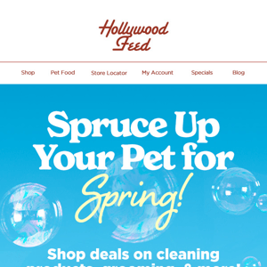 Spruce Up Your Pet for Spring! 🌷🌸