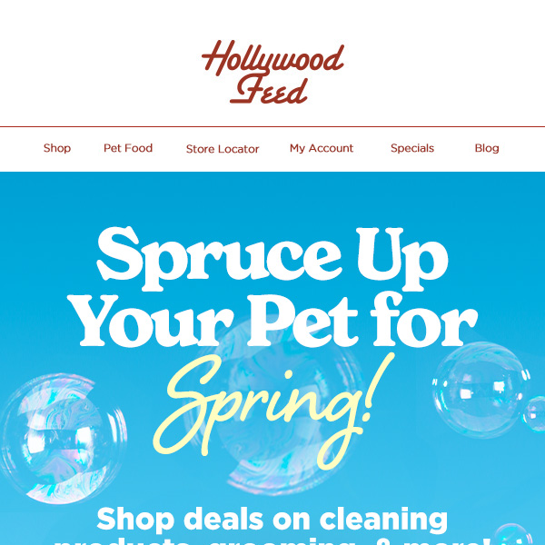 Spruce Up Your Pet for Spring! 🌷🌸