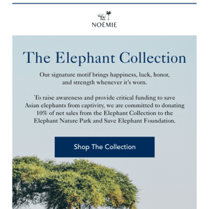 Shop the Elephant Collection 🐘