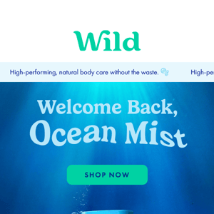 Ocean Mist is back for good! 🌊