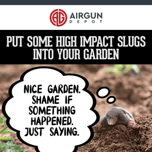 Put some Slugs INTO your Garden