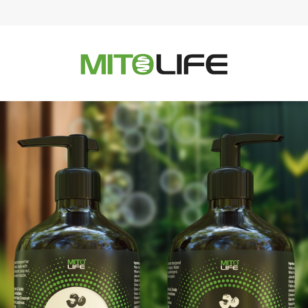 Essential Oil-Free Hair Care from Mitolife!🧴🫧