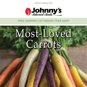 The Best Carrots to Root For