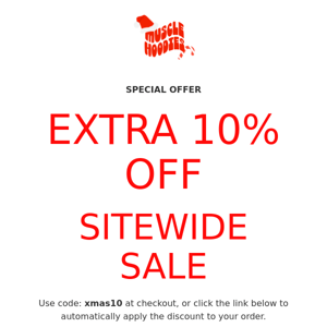 🚨SANTA DROPPED AN EXTRA 10% OFF OUR SITEWIDE SALE🚨