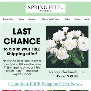 Last chance to claim your FREE shipping offer!