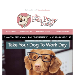 🐕 Bring your four-legged friend to work with you! 🐕