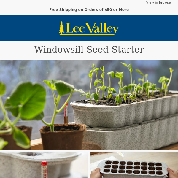 Windowsill Seed Starter – Help Your Seedlings Thrive