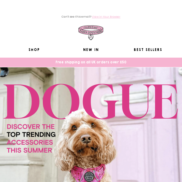 Pawsome Paws Boutique Latest Emails Sales Deals