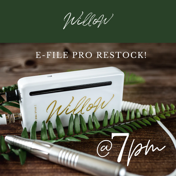 7pm tonight: The E-file Pro is back in stock!