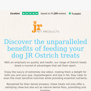 Discover the unparalleled benefits of feeding your dog JR Ostrich treats!