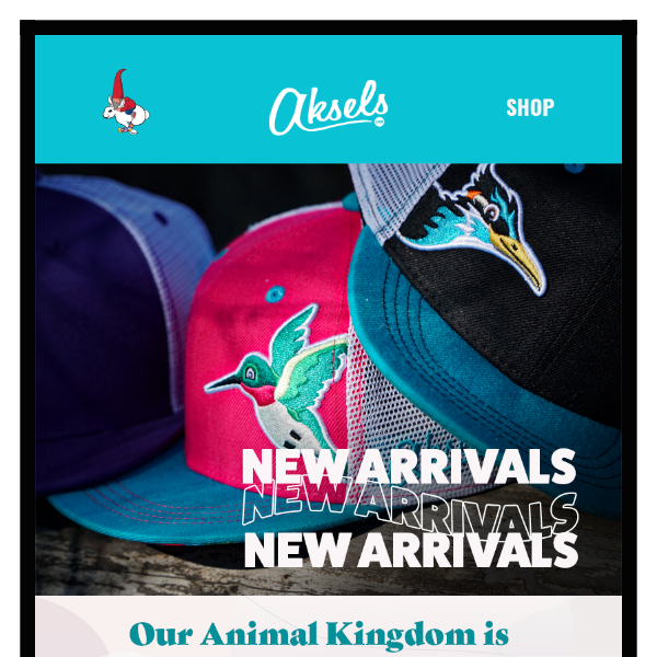 Incoming: New Arrivals!🔥🐾