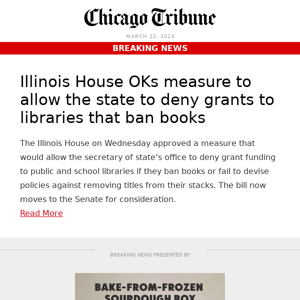 Illinois House OKs measure to allow the state to deny grants to libraries that ban books