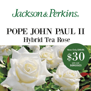 5-Star Rated Pope John Paul II On Sale Now