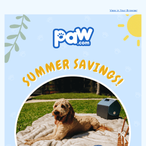 Dog Days of Summer Sale ☀️🐕