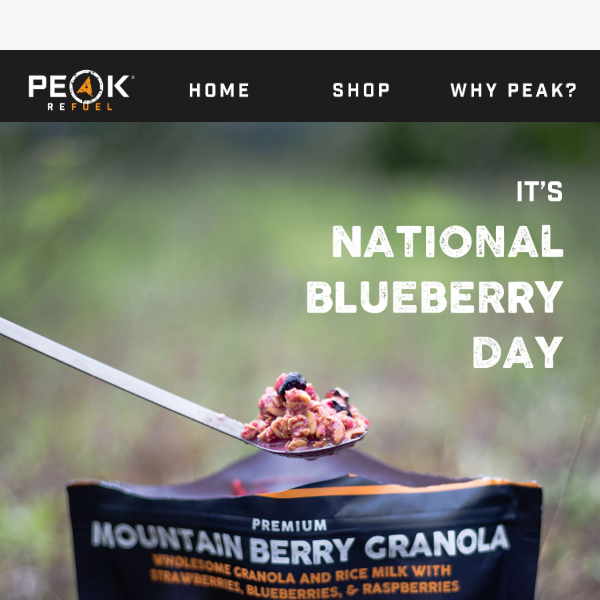 Celebrate National Blueberry Day With Our Favorite Granola 🫐🍓
