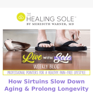 How Sirtuins Slow Down Aging & Prolong Longevity