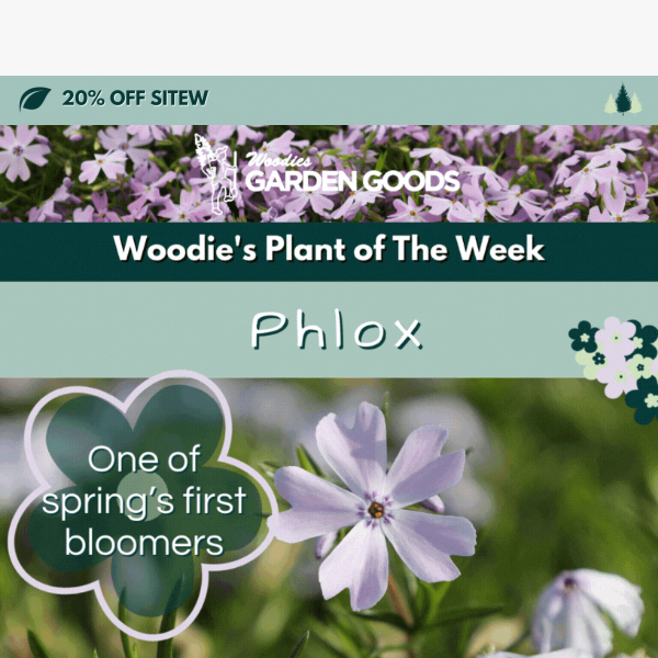 New Perennial Alert!🌸💜 & Sitewide Savings!