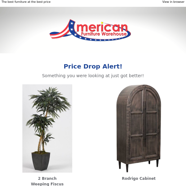 Price Drop Alert: 2 Branch Weeping Fiscus Tree has a new, lower price.