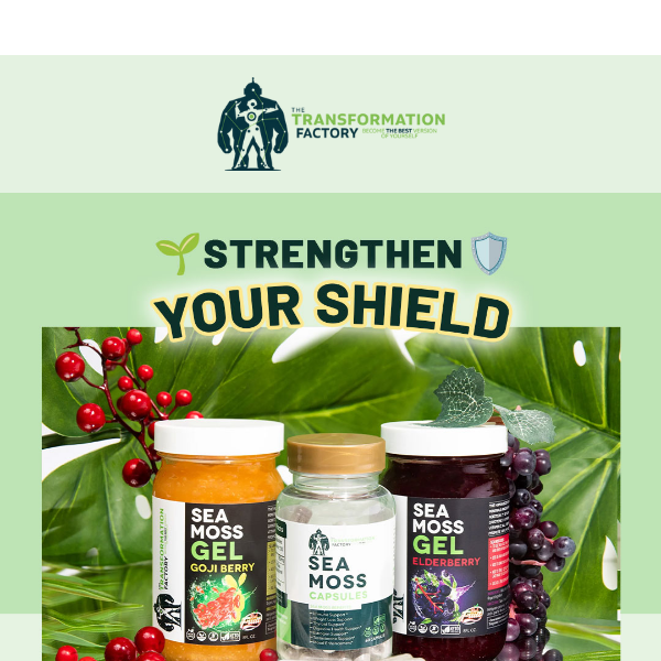 Strengthen Your Shield Sea Moss Transformation