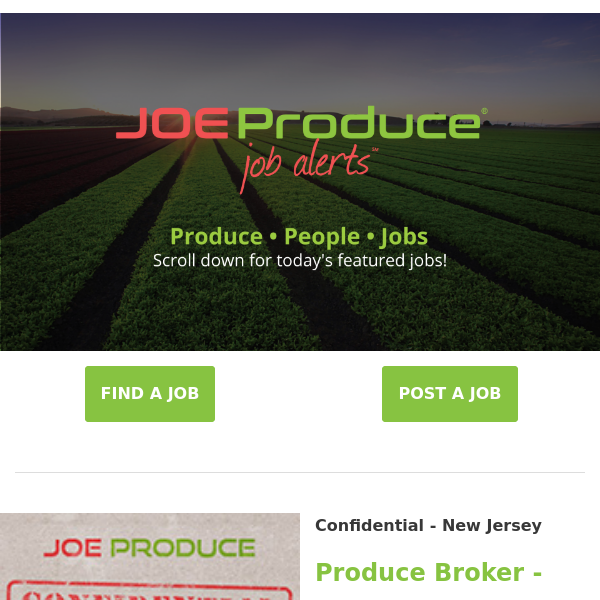 Brand New Produce Jobs Now Available With PlantTape, Gaetan Bono, Bandwagon Brokerage, JC Watson Company, Sun Pacific & Tastyfrutti