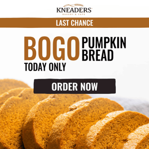 Last Chance at BOGO Pumpkin Bread