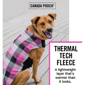 Innovative thermal tech to keep your pup warm 🥰