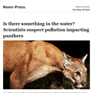 News alert: Is water pollution behind mysterious panther disease?