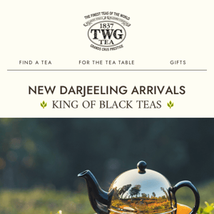 New Darjeeling Arrivals