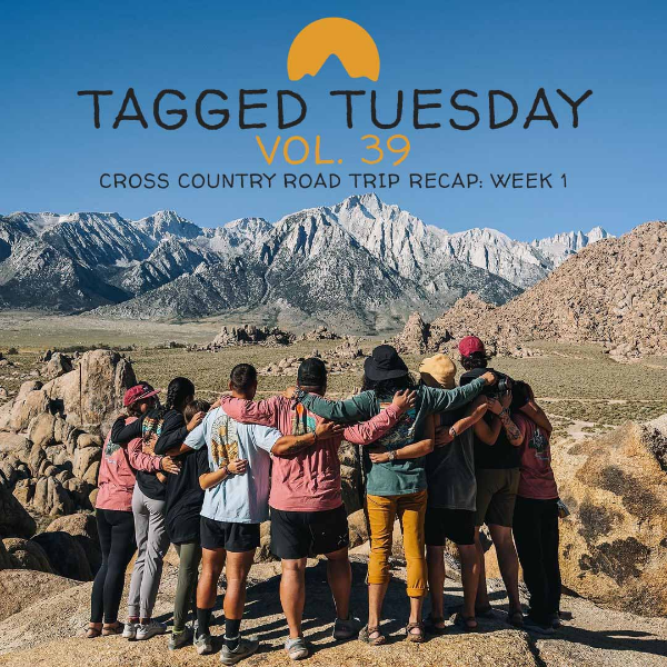 ✨ Tagged Tuesday - Vol. 39 - Special Edition