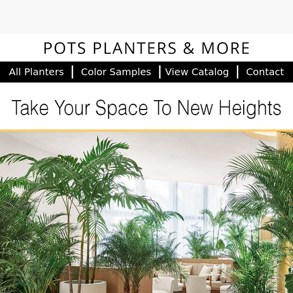 5 Tips to Take Your Space To New Heights With Tree Planters