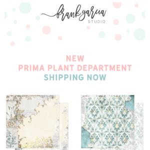 New Prima Plant Department Collection! Now Shipping 🌸