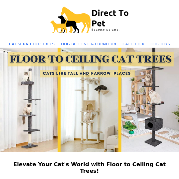 Maximize Your Cat's Playtime with Our Floor to Ceiling Cat Trees!