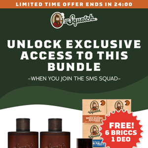 Limited time offer: 6 FREE briccs and deo