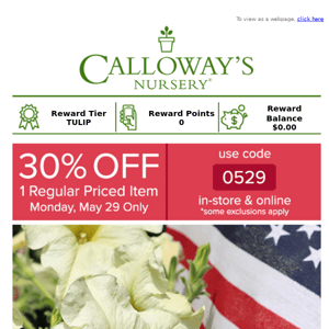 Early summer savings with 30% Off 1 Reg Priced Item!
