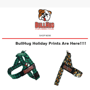 Bullhug Prints for the Holidays