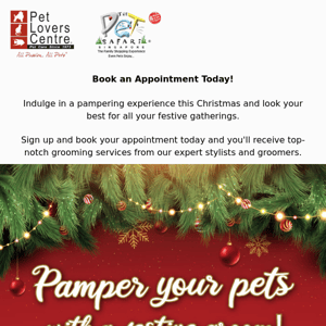 Get Ready for the Holidays with a Fresh New Look! Book your Grooming Appointment Today.